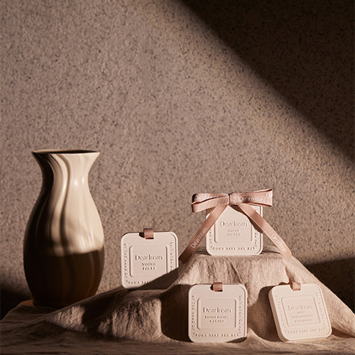 DearIrean Fragrância Gesso Pendurado 40g