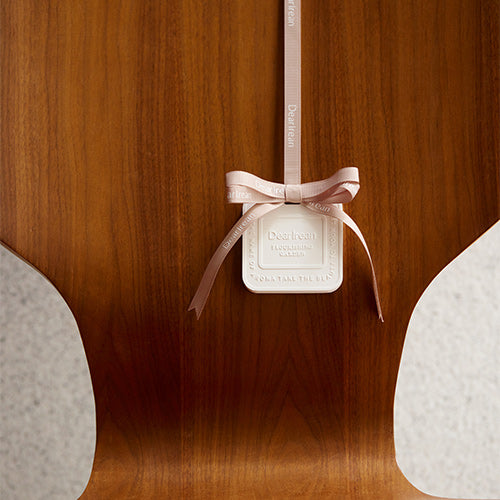 DearIrean Fragrância Gesso Pendurado 40g